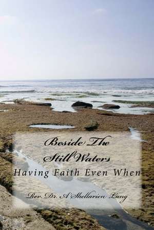 Beside the Still Waters de Rev Dr a. Anthony