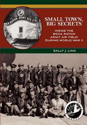 Small Town, Big Secrets de Sally J. Ling