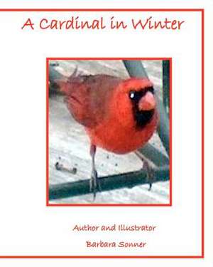 A Cardinal in Winter de Barbara Sonner