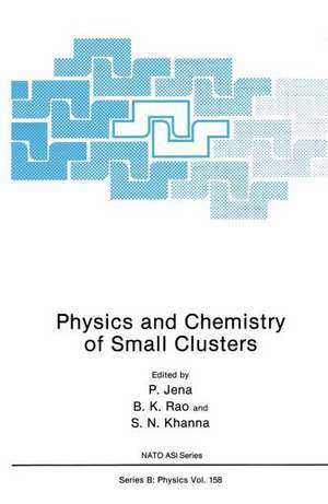 Physics and Chemistry of Small Clusters de P. Jena