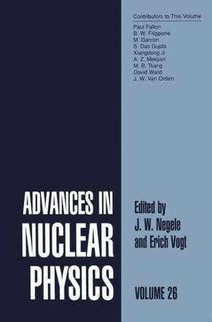 Advances in Nuclear Physics: Volume 26 de J.W. Negele
