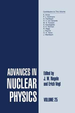 Advances in Nuclear Physics: Volume 25 de J.W. Negele