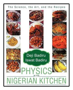 Physics in the Nigerian Kitchen de Deji Badiru