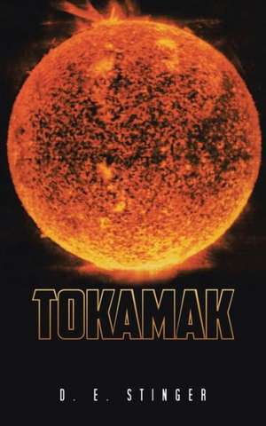 Tokamak de D. E. Stinger