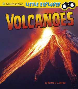 Volcanoes de Martha E H Rustad