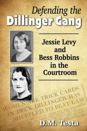 Defending the Dillinger Gang de D. M. Testa