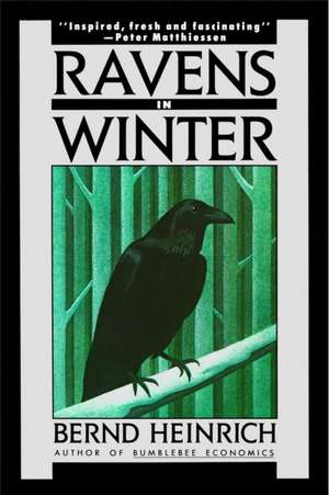 Ravens in Winter de Heinrich