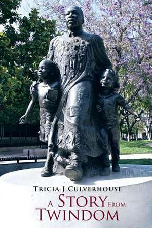 A Story from Twindom de Tricia J. Culverhouse