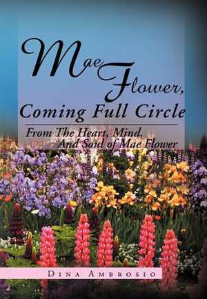 Mae Flower, Coming Full Circle de Dina Ambrosio