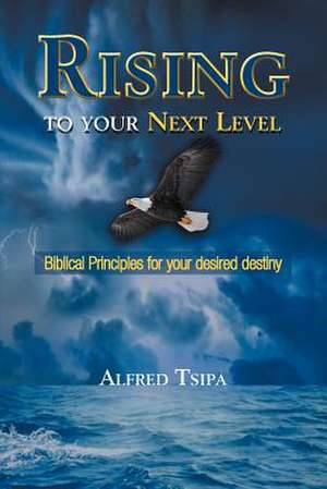 Rising to Your Next Level de Alfred Tsipa