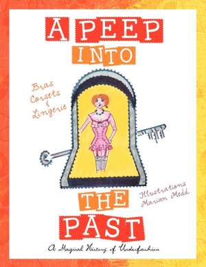 A Peep Into the Past de Marian Medd