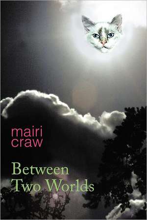 Between Two Worlds de Mairi Craw