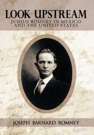 Look Upstream de Joseph Barnard Romney