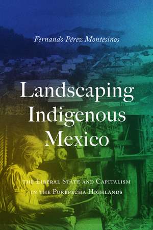 Landscaping Indigenous Mexico: The Liberal State and Capitalism in the Purépecha Highlands de Fernando Pérez-Montesinos