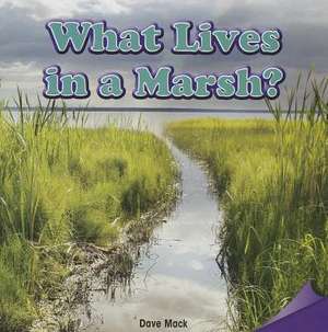 What Lives in a Marsh? de Dave Mack