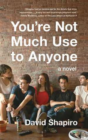 You're Not Much Use to Anyone de David Shapiro