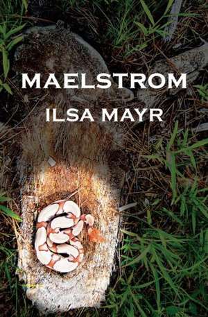 Maelstrom de Ilsa Mayr