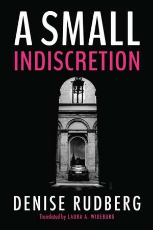 A Small Indiscretion de Denise Rudberg