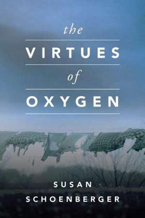 The Virtues of Oxygen de Susan Schoenberger