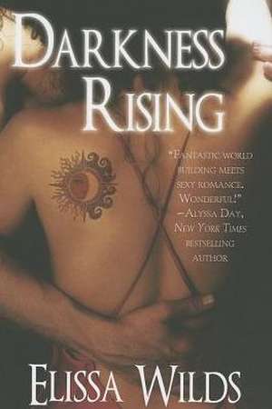 Darkness Rising de Elissa Wilds