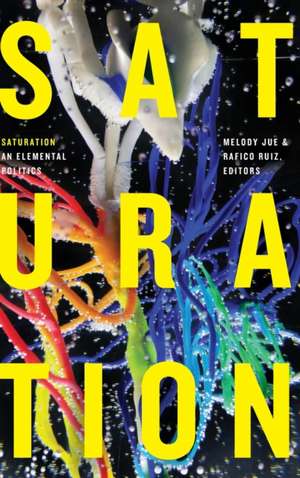 Saturation de Melody Jue