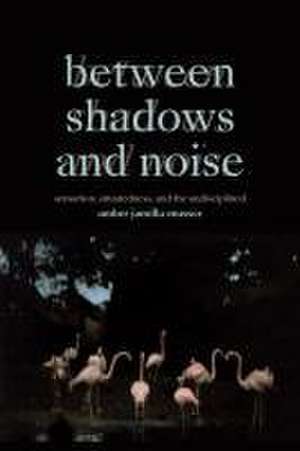 Between Shadows and Noise – Sensation, Situatedness, and the Undisciplined de Amber Jamilla Musser