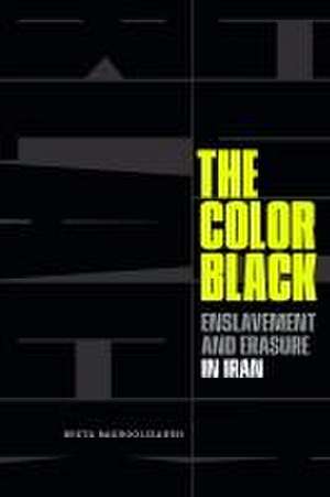 The Color Black – Enslavement and Erasure in Iran de Beeta Baghoolizadeh