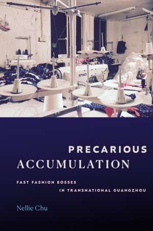 Precarious Accumulation de Nellie Chu
