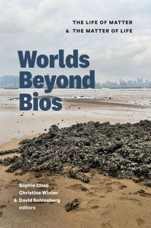 Worlds Beyond Bios de Christine J. Winter