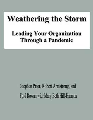 Weathering the Storm de Stephen Prior