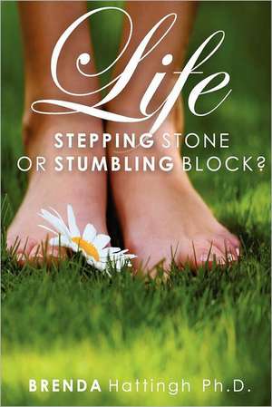 Life - Stumbling Block or Stepping Stone?: America's Racial Profile in Legal Documents de Brenda Hattingh Ph. D.