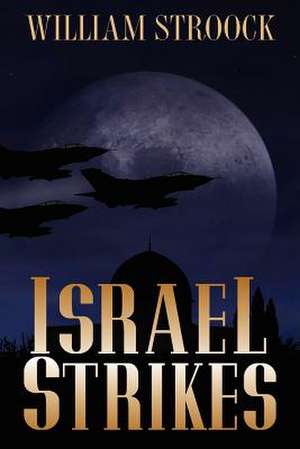 Israel Strikes de William Stroock