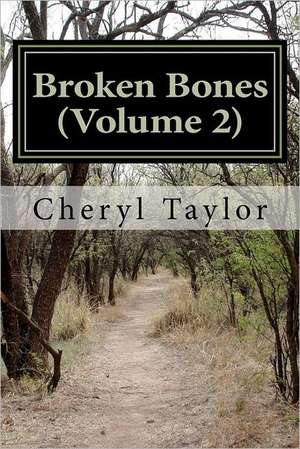 Broken Bones: International Taxation for the Business Owner and Foreign Investor de Cheryl Taylor