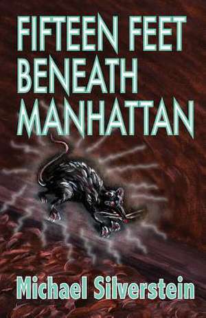 Fifteen Feet Beneath Manhattan de Michael Silverstein