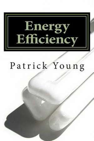 Energy Efficiency de Patrick Young