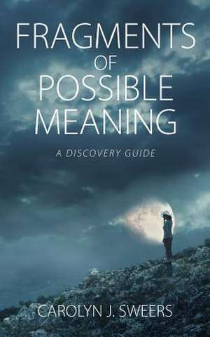 Fragments of Possible Meaning: A Discovery Guide de Carolyn J. Sweers