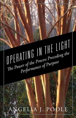 Operating in the Light de Angelia J. Poole