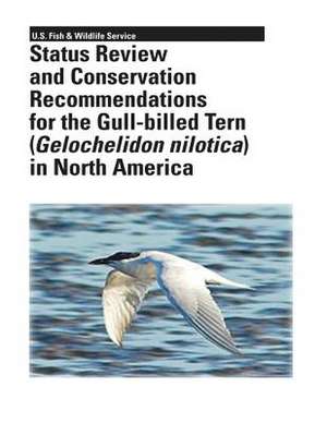 Status Review and Conservation Recommendations for the Gull-Billed Tern (Gelochelidon Nilotica) in North America de Kathy C. Molina