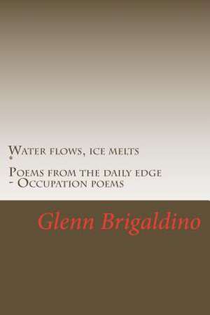 Water Flows, Ice Melts de Glenn Brigaldino