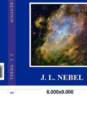 Reflections of Creation de J. L. Nebel