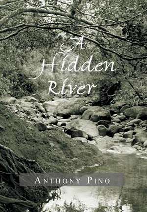 A Hidden River de Anthony Pino