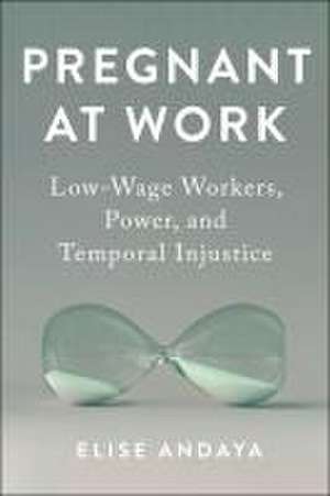 Pregnant at Work – Low–Wage Workers, Power, and Temporal Injustice de Elise Andaya