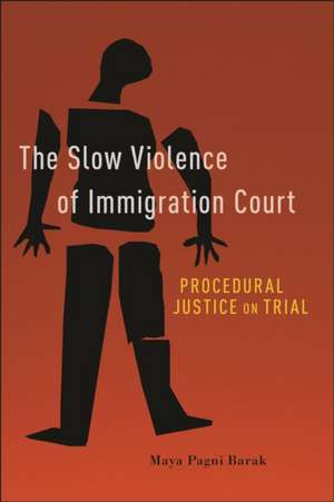 The Slow Violence of Immigration Court – Procedural Justice on Trial de Maya Pagni Barak