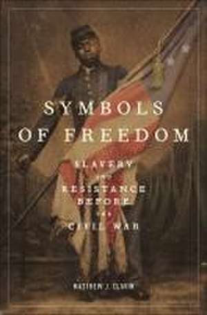 Symbols of Freedom – Slavery and Resistance Before the Civil War de Matthew J. Clavin