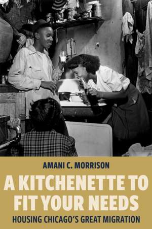 A Kitchenette to Fit Your Needs de Amani C. Morrison