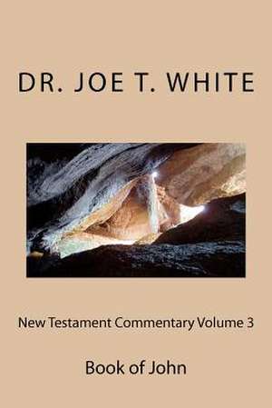 New Testament Commentary Volume 3 de Joe T. White