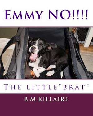 The Name Is Emmy Lou Sue. the Little Brat de B. M. Killaire