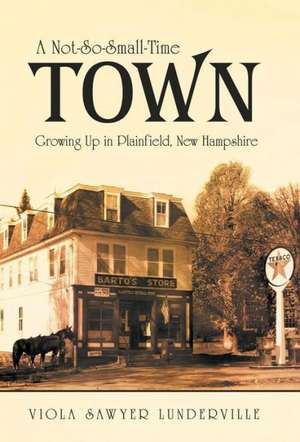 A Not-So-Small-Time Town de Viola Sawyer Lunderville