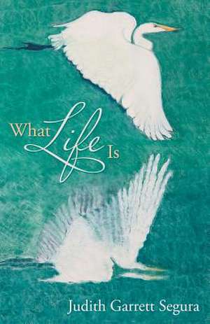 What Life Is de Judith Garrett Segura