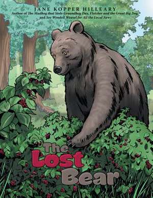 The Lost Bear de Kopper Hilleary, Jane